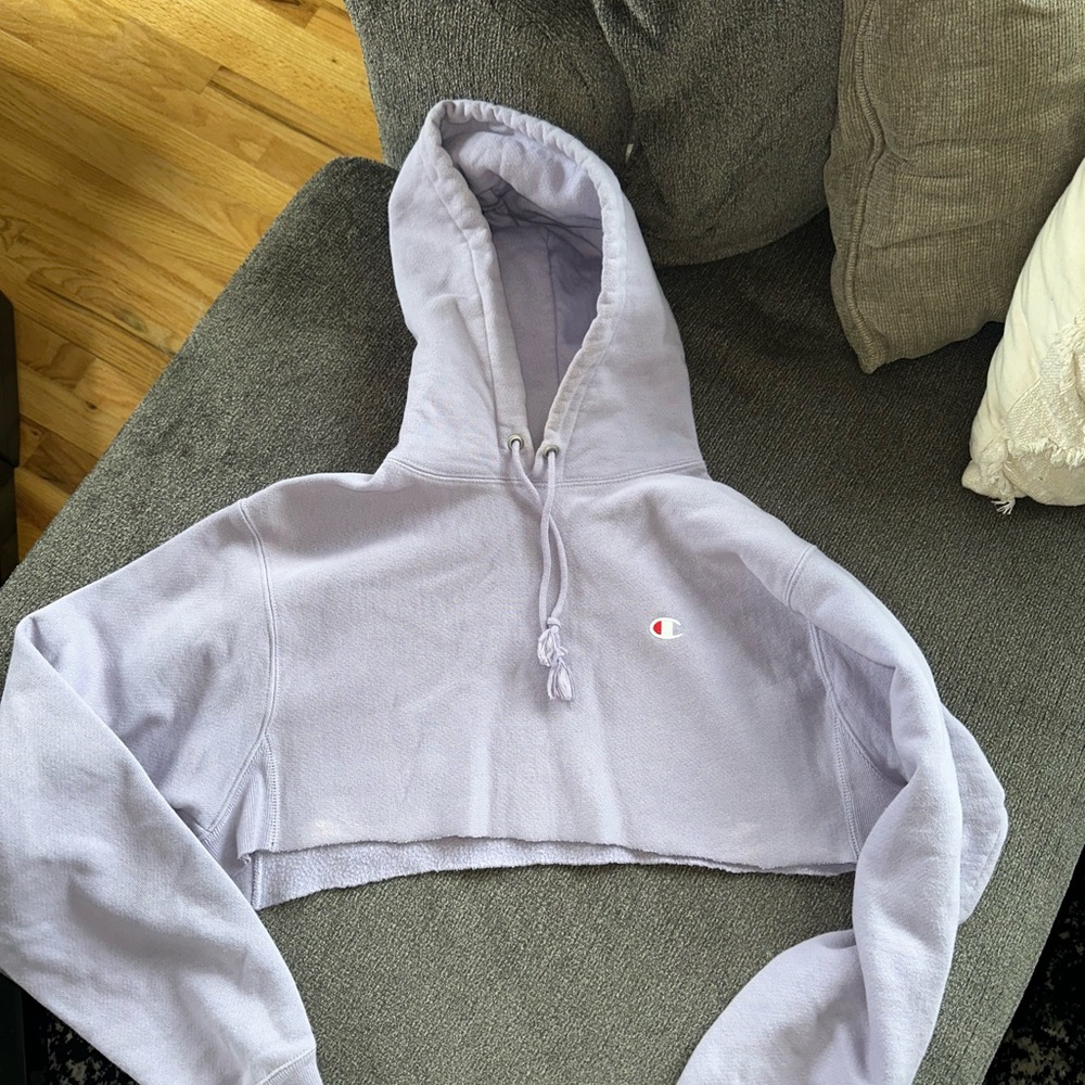 Champion Women's Purple Cropped Hoodie